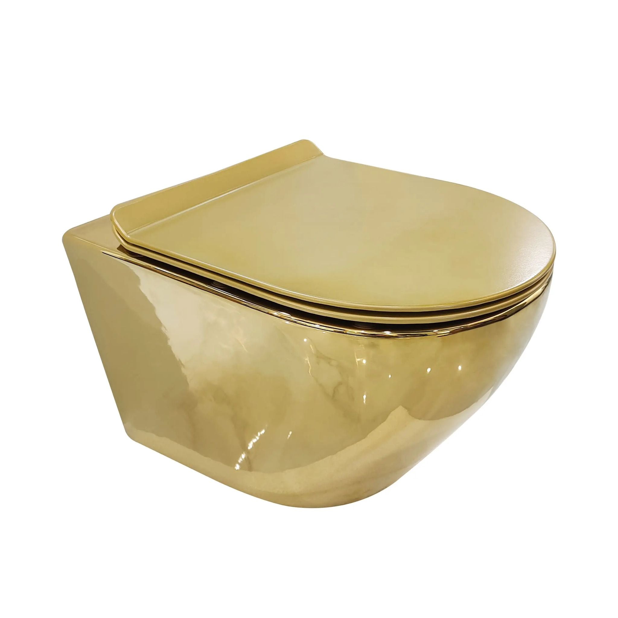 Exclusive Gold Completely Hanging Toilet