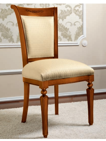 Arbeitszimmer Torriani Nussbaum